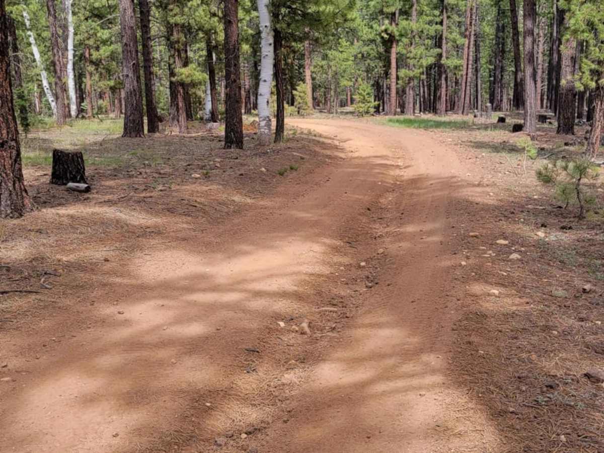 Tommy Loop Access photo 3