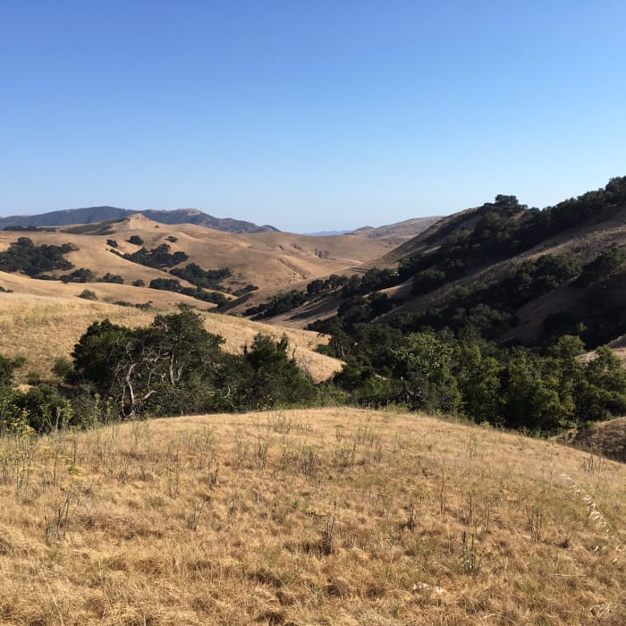 Near Poly Canyon Road