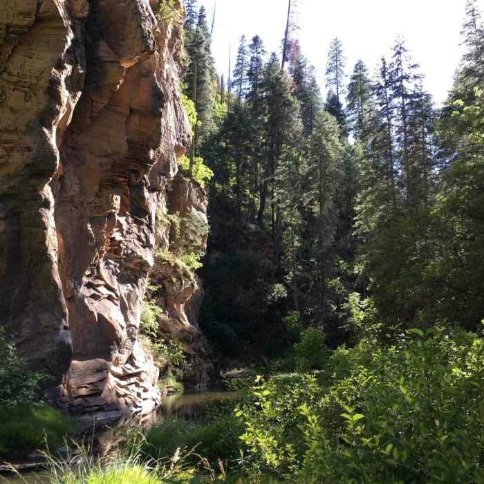 Near West Fork Upper Extension from 231