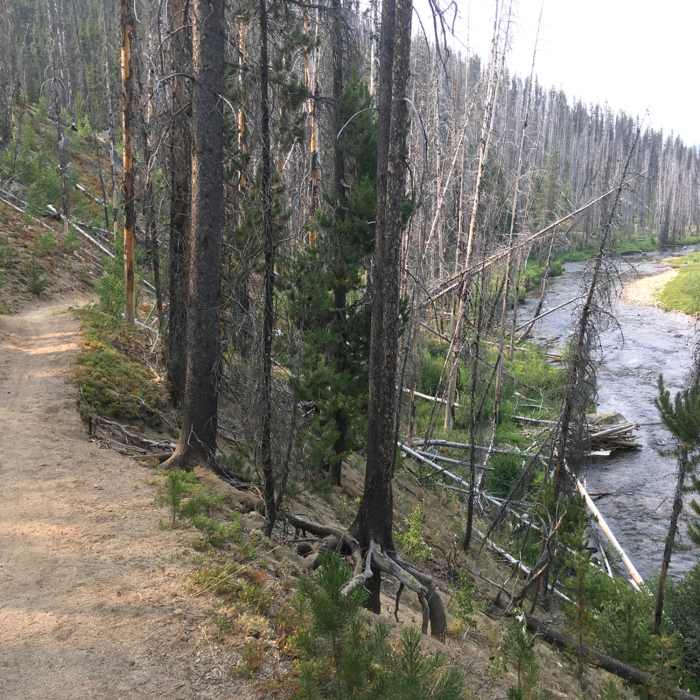 Near Loon Lake Trail
