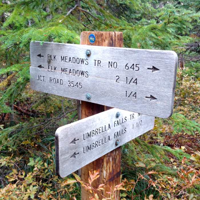 Portland September 2017 Near Elk Meadows Trail #645