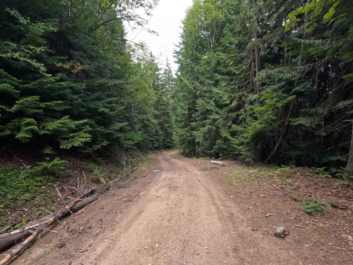 Consalus Creek Road - FS 1108 photo 3