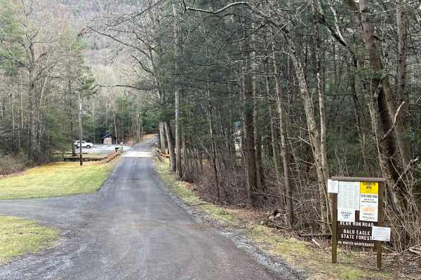 Bear Run Road