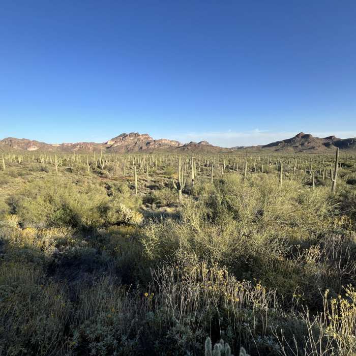 Near Shaka Cave via the Lost Goldmine Trail