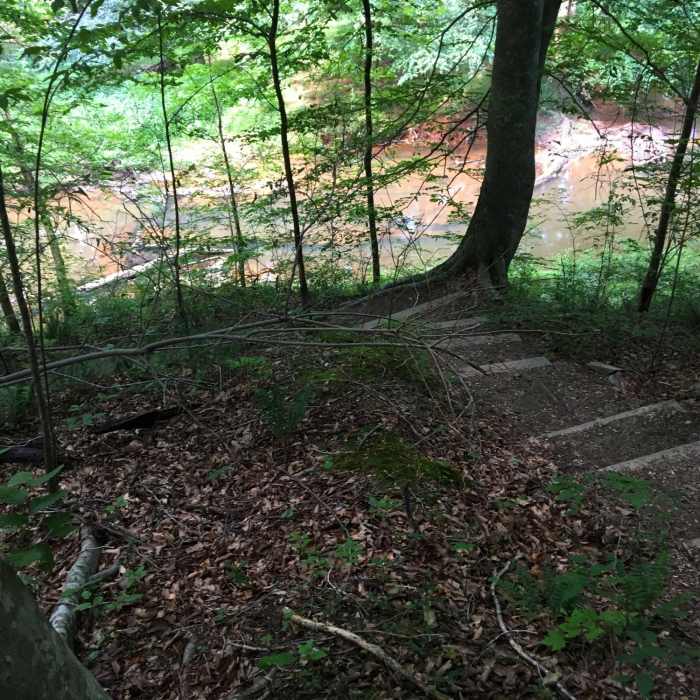 Stairs lead down to a pleasant river view along the South River Loop. Near Little River 5+ Loop