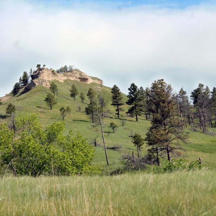 Near Chadron State Park Near Chadron State Park