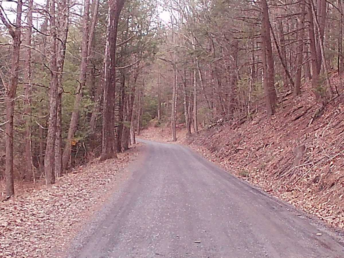 Treaster Kettle road photo 6
