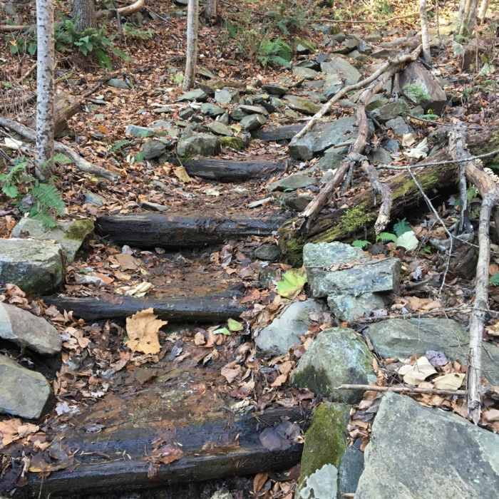 Near Sugar Hollow Loop