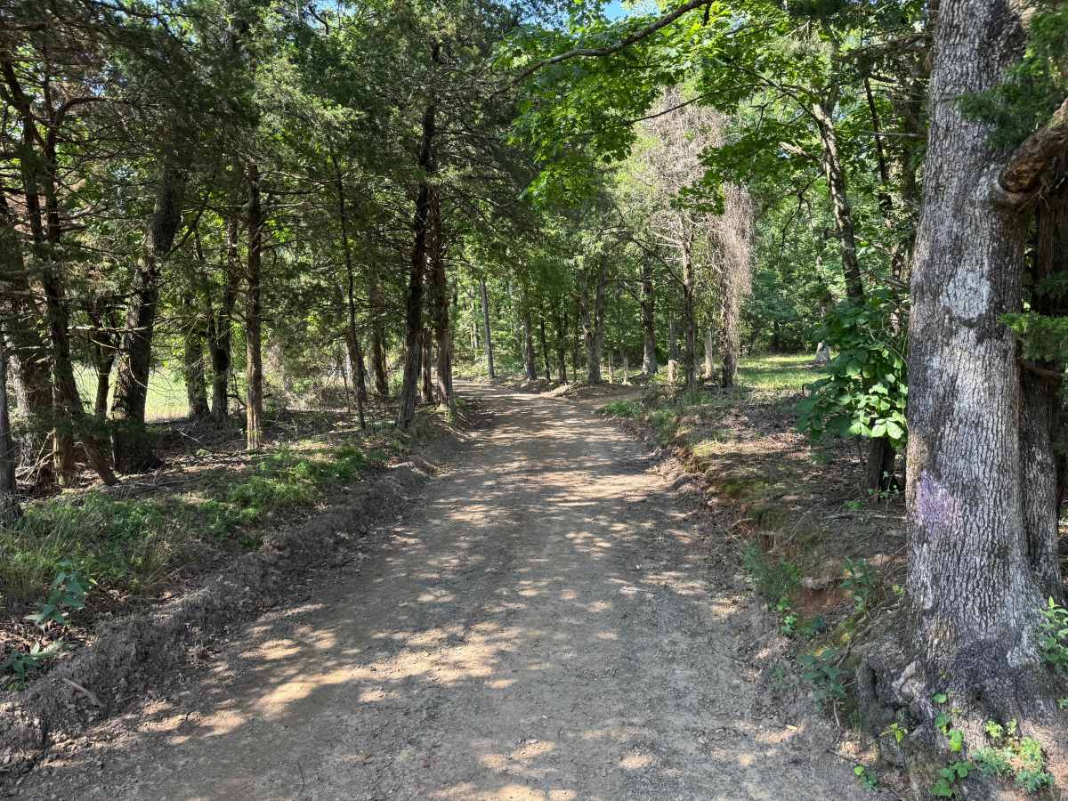 County Road 4015 trail photo