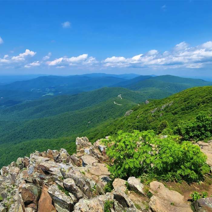 Near Stony Man Trail