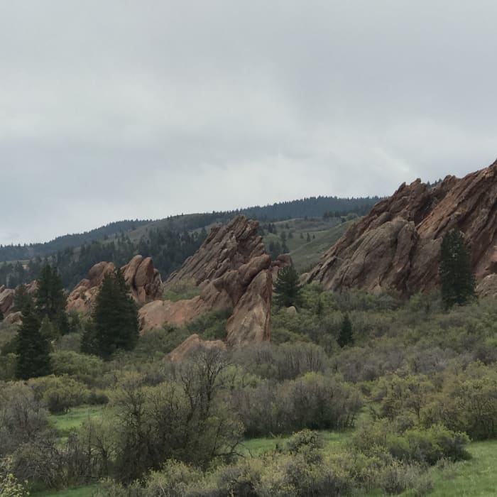 Near Willow Creek Trail