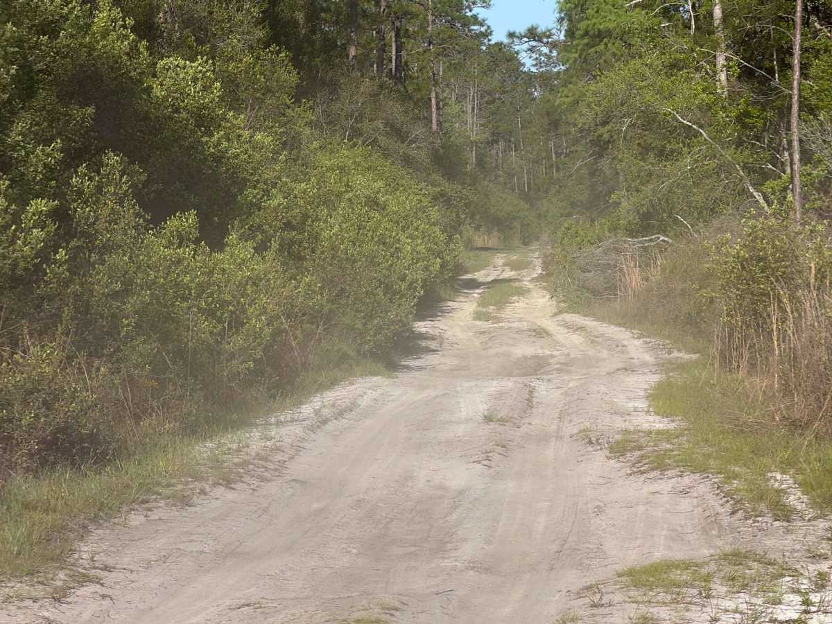 Queens Bay East - FS 185 photo 6