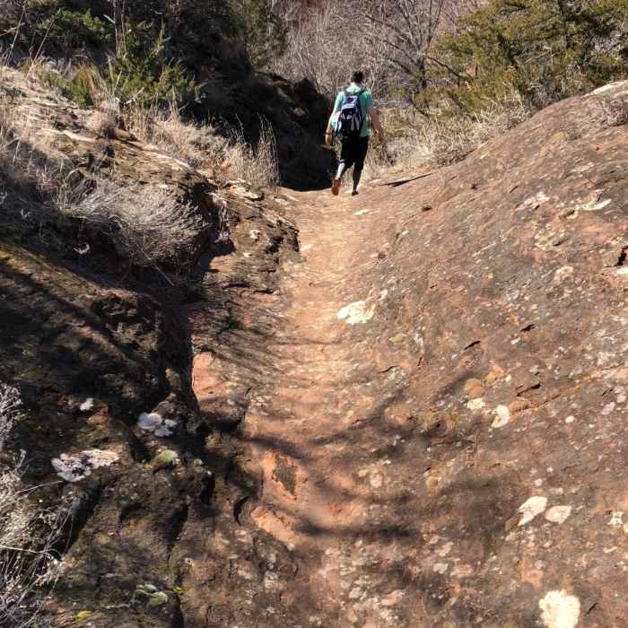 Near Rough Horse Nature Trail