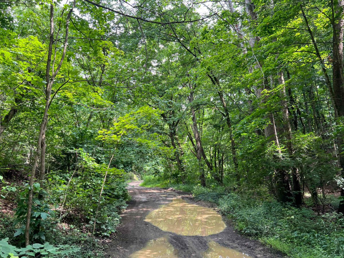 Caroll Road trail photo