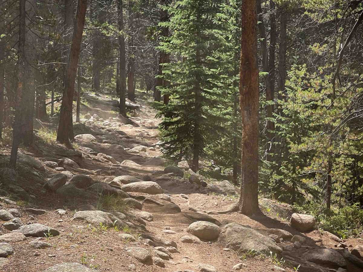 Lily Pond Trail photo 3