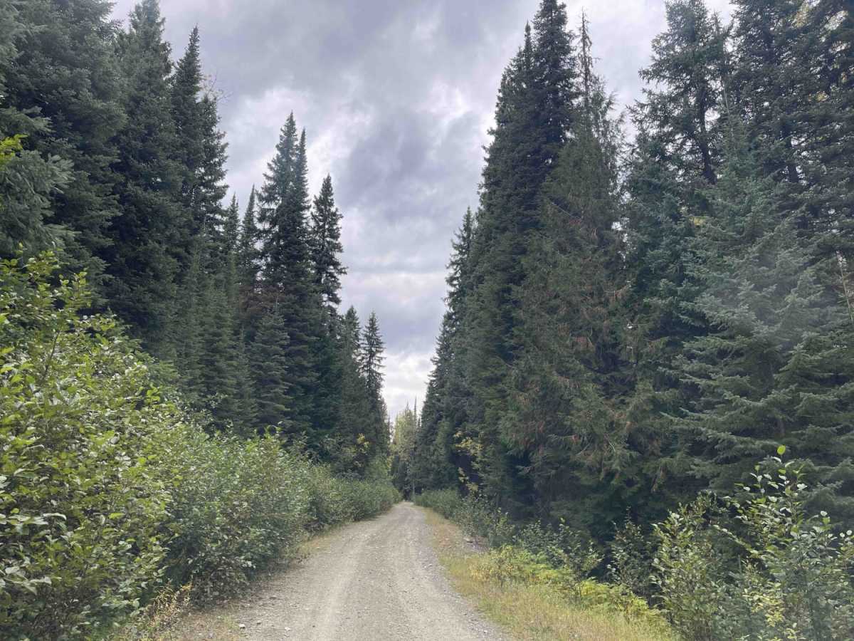 Old Monashee Highway trail photo