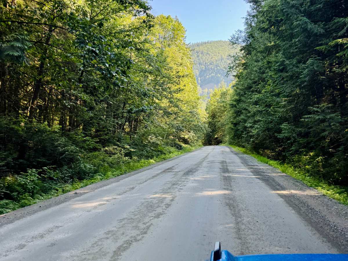 Hicks Lake Road  trail photo
