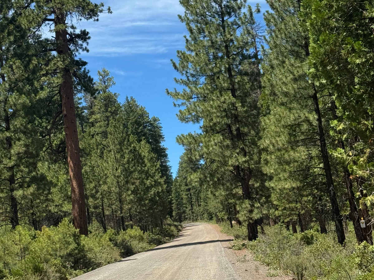Black Butte Trail - FS 1110 photo 3