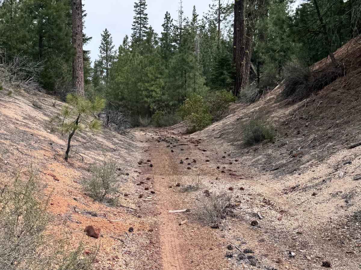 Skellock Pit - FS 4300800 photo 5