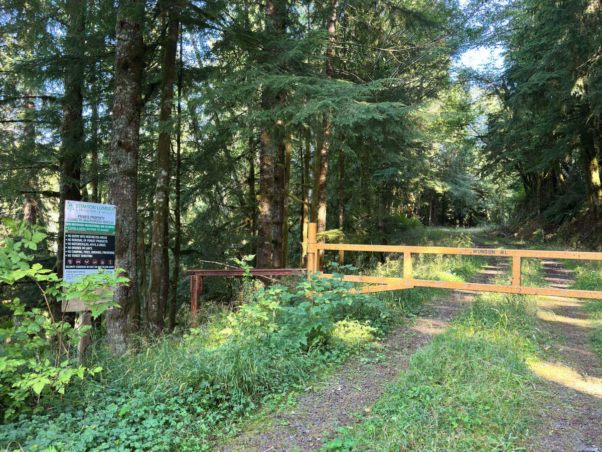 Wildcat Ridge photo 4