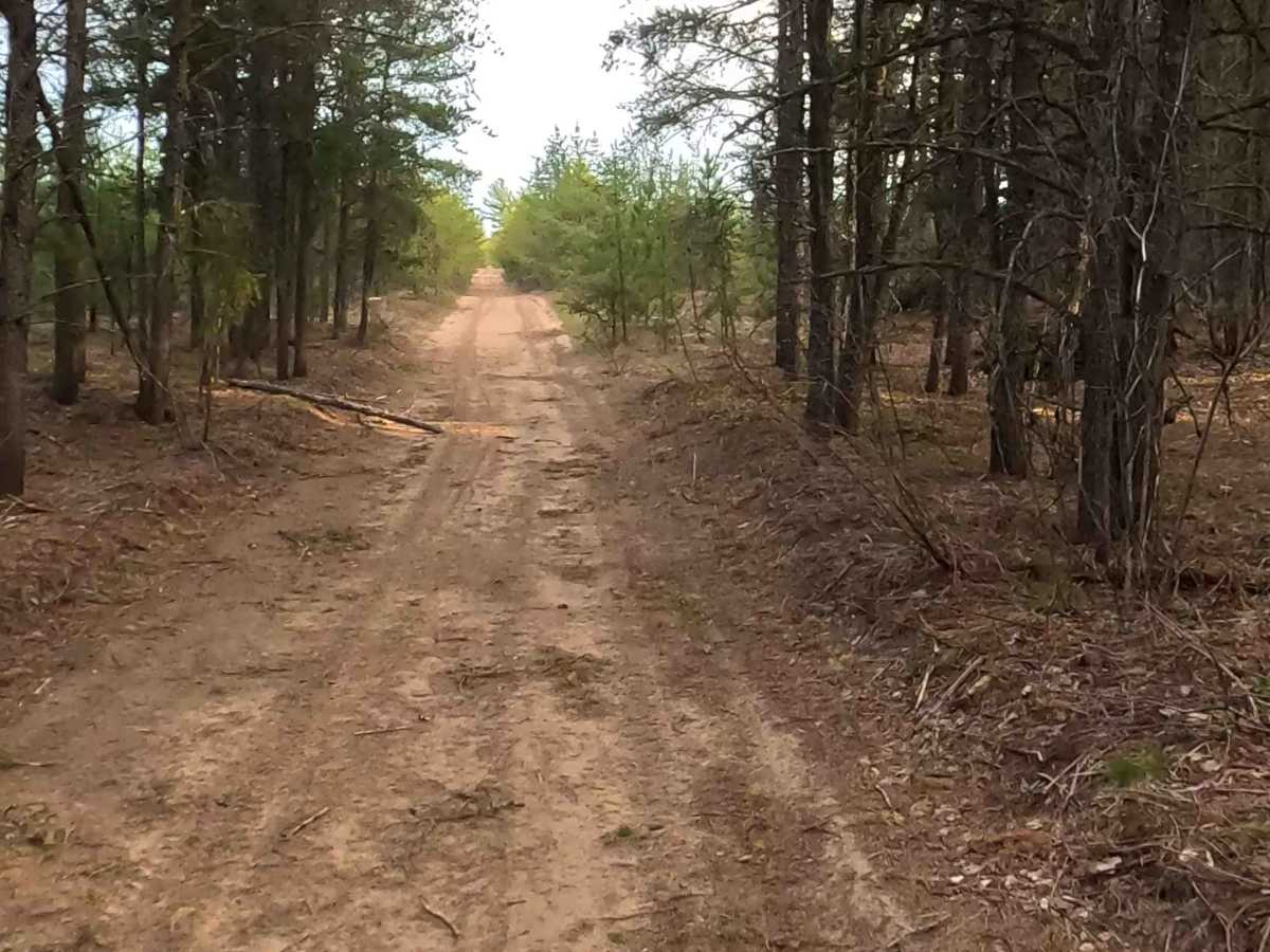 N Sheldrake River Road photo 2
