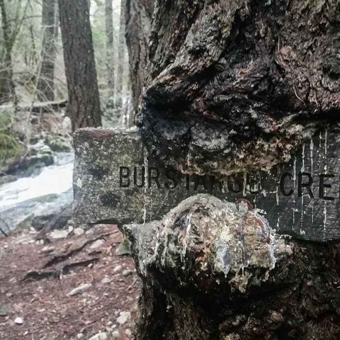 Near Burstarse Falls Hike via Pacific Crest Trail