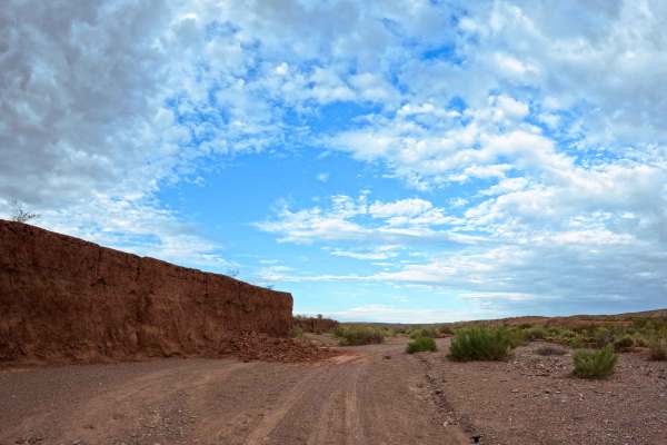 Arroyo de los Pinos