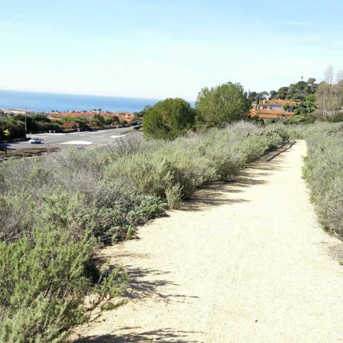 Near Three Sisters Trail
