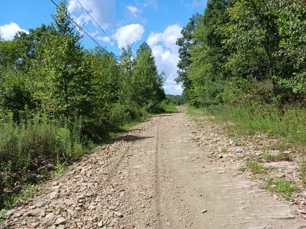 Rouges Harbor Road - Rock Run Recreation Area trail photo