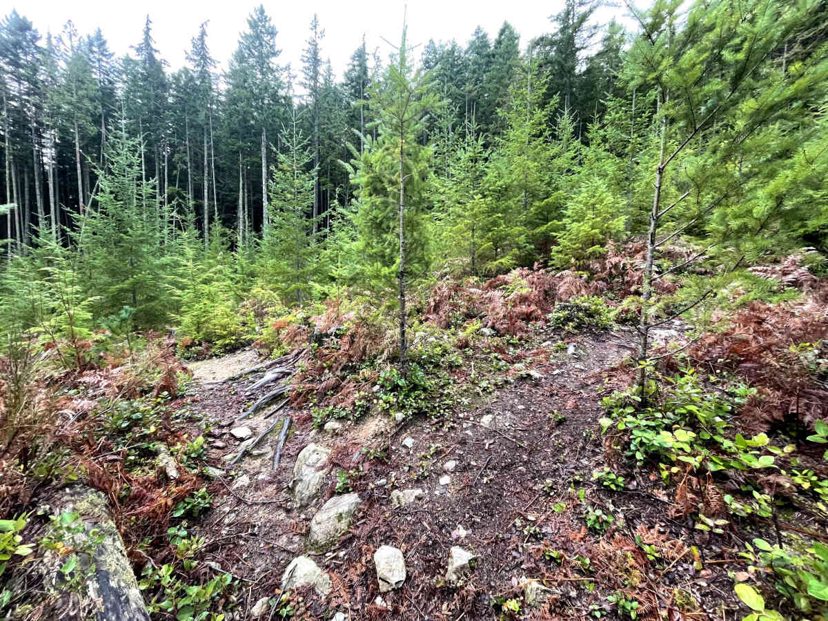 Widowmaker Connector trail photo