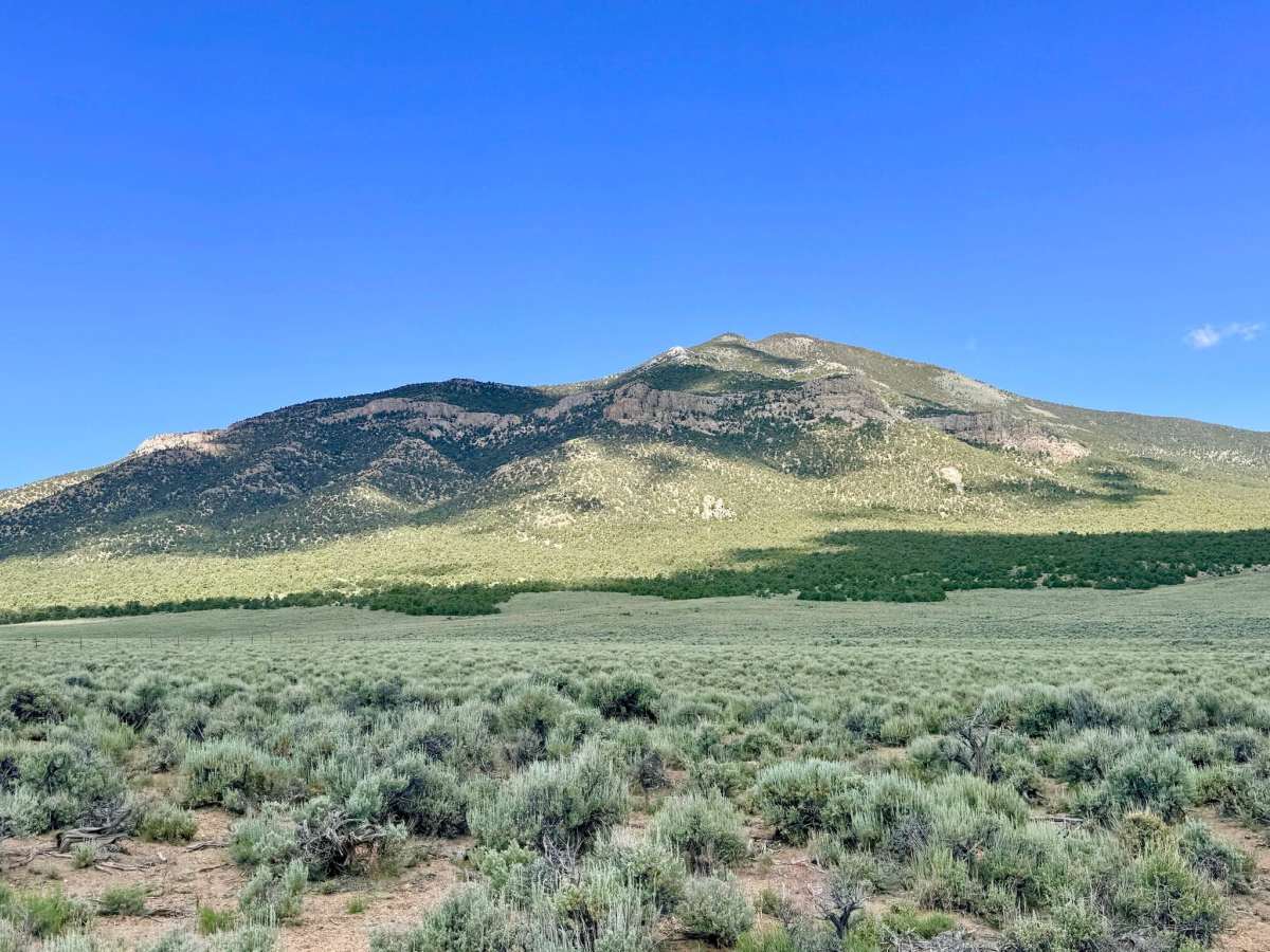 Tulle Creek Road - FS 44422 photo 3