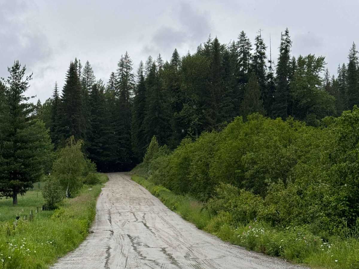 Lamb Creek Road - FS 310 trail photo