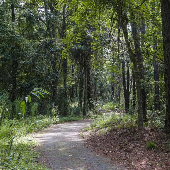 Near Green Creek Trail Near Green Creek Trail