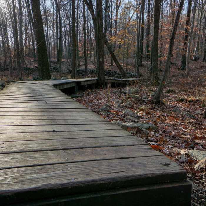 Near Turkey Mountain