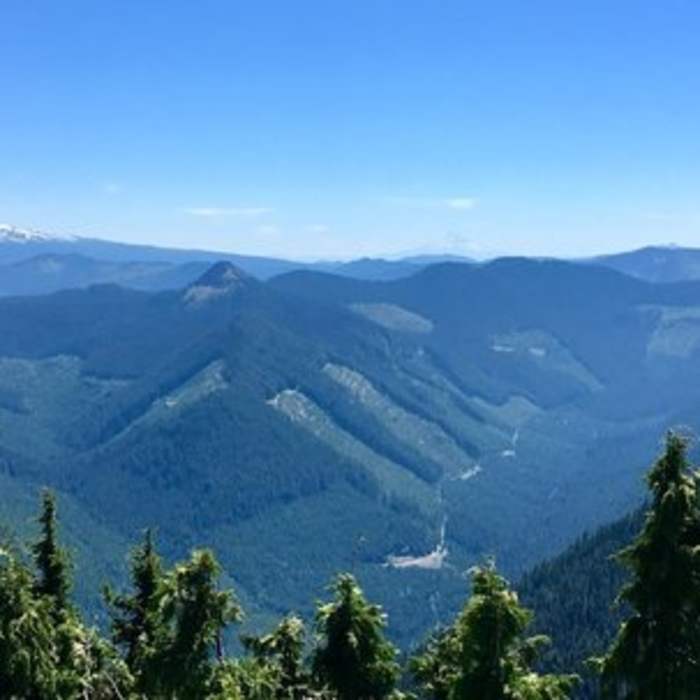 Near South Point Lookout Trail #123