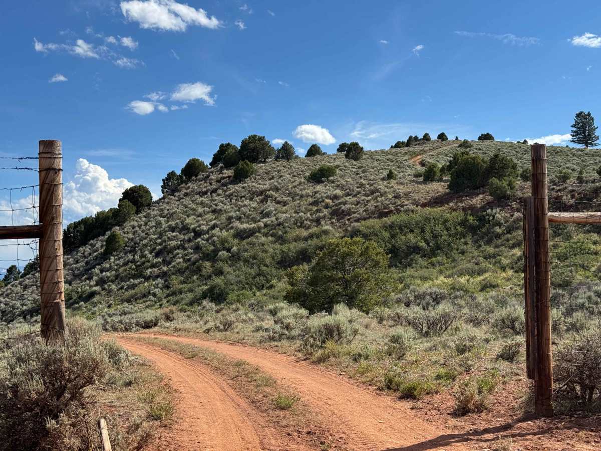 BLM 8462 photo 6