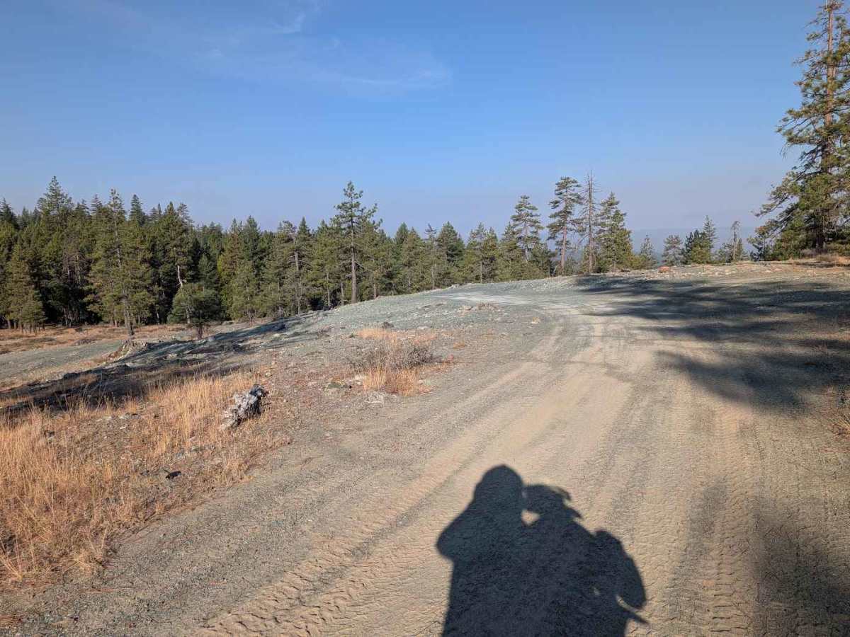 Bear Wallow Meadow Road - FS 1N14 photo 3