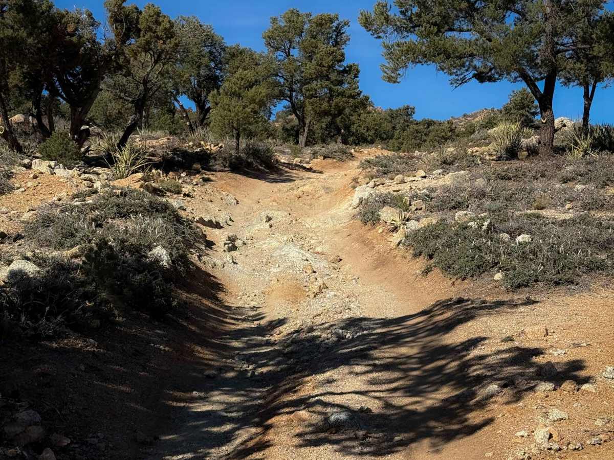 BLM Route 7125 photo 6
