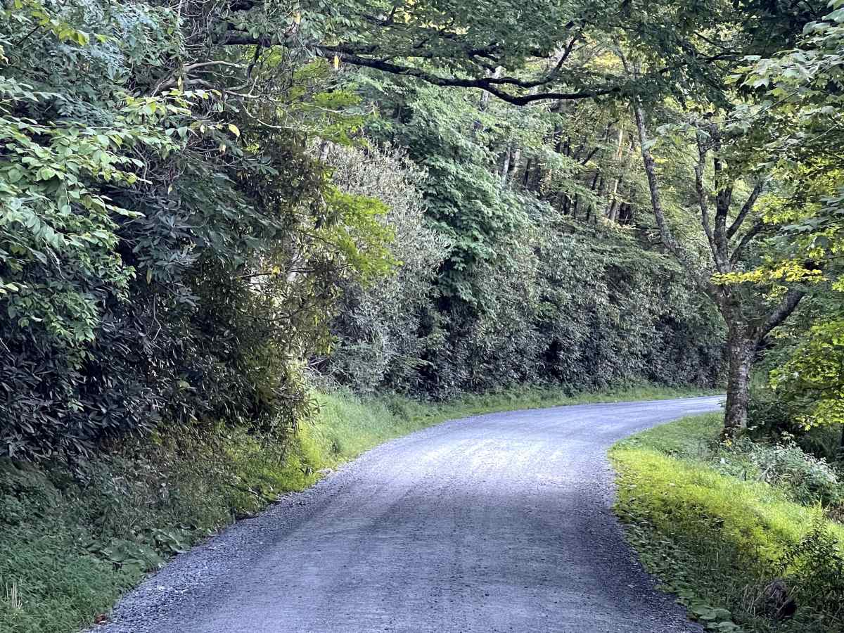 Flannary Fork Road photo 4