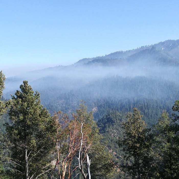 Near Butler Mountain Trail