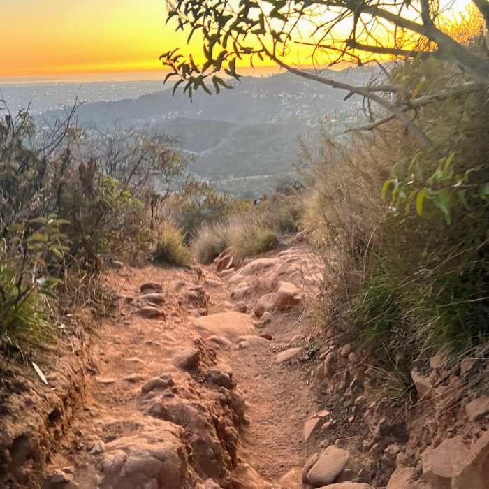 Near Wisdom Tree Loop