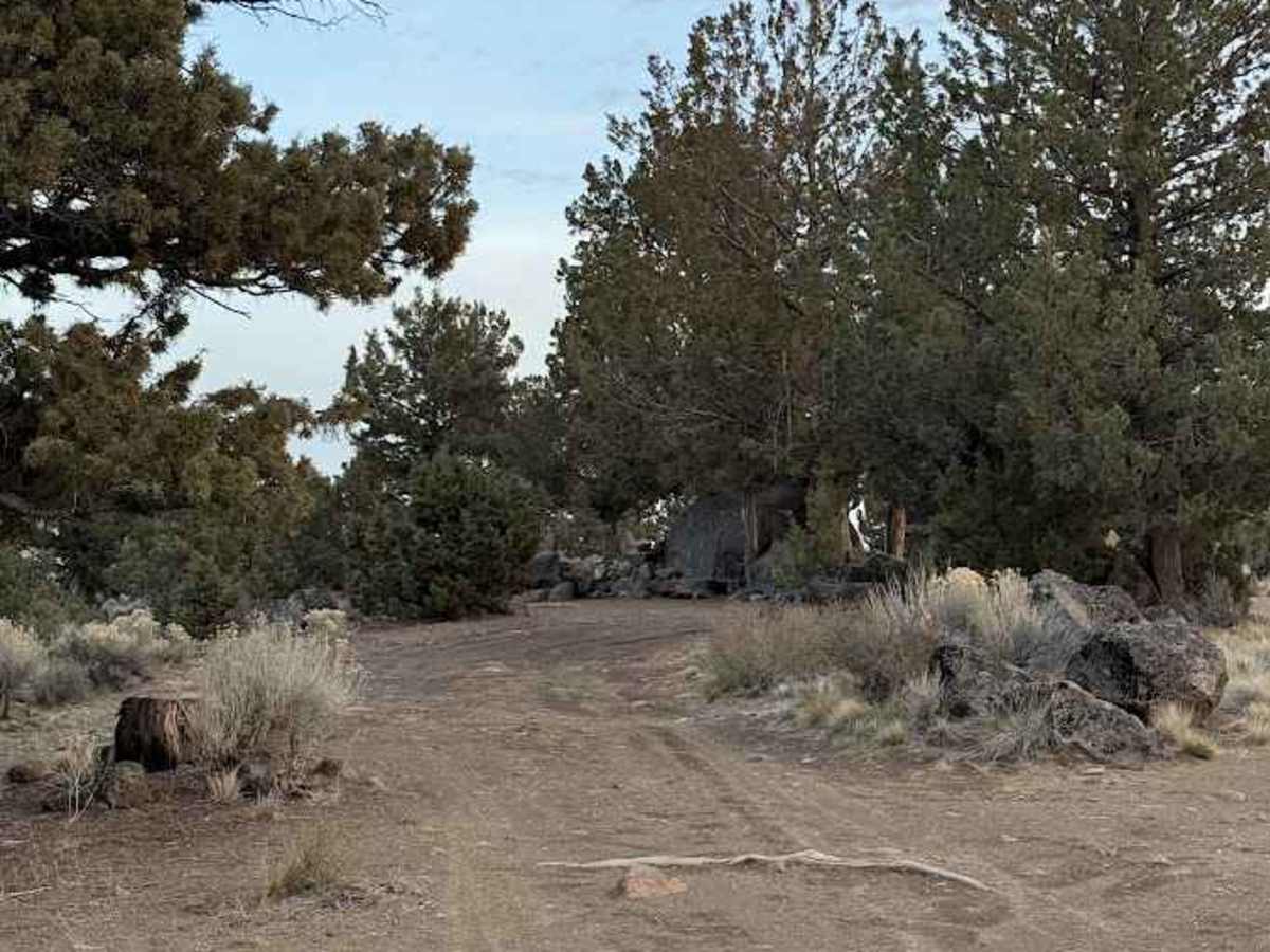 Hole in the Ground Loop - FS 3130 photo 2