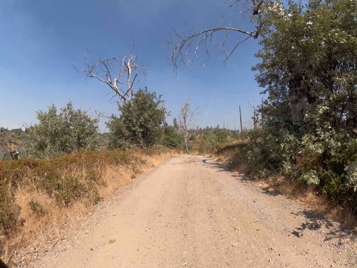 Ponderosa Fire Line - Upper - FS 6S017 photo 3