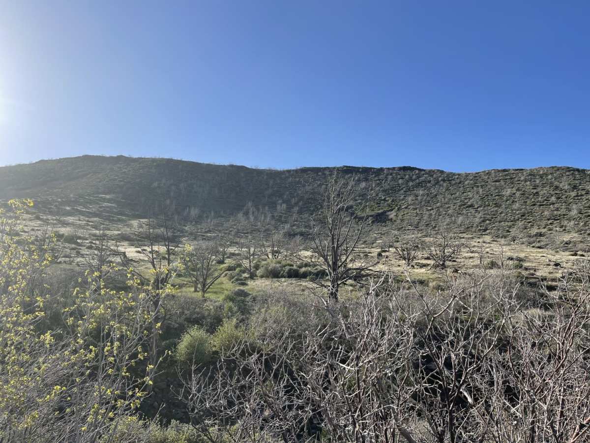 Black Canyon trail photo