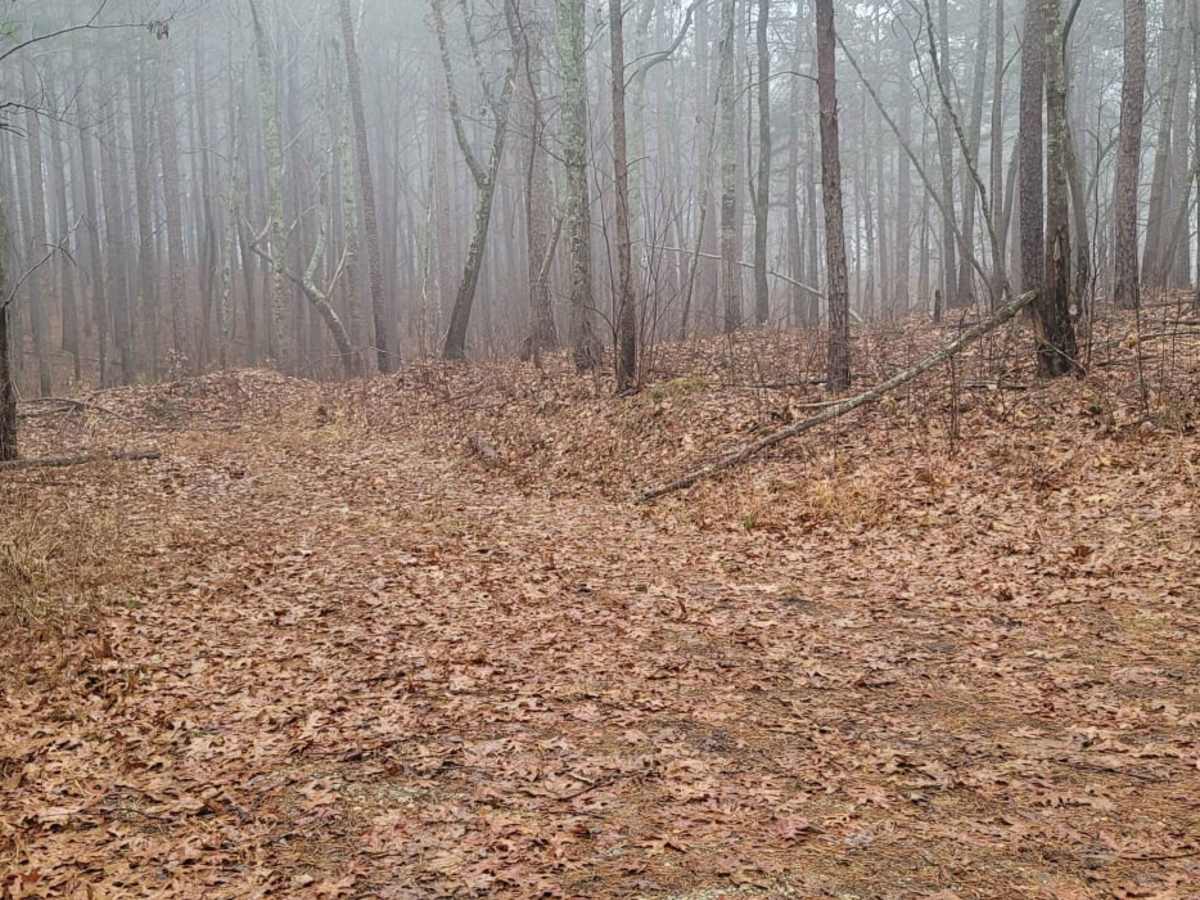 USFSR #500K trail photo