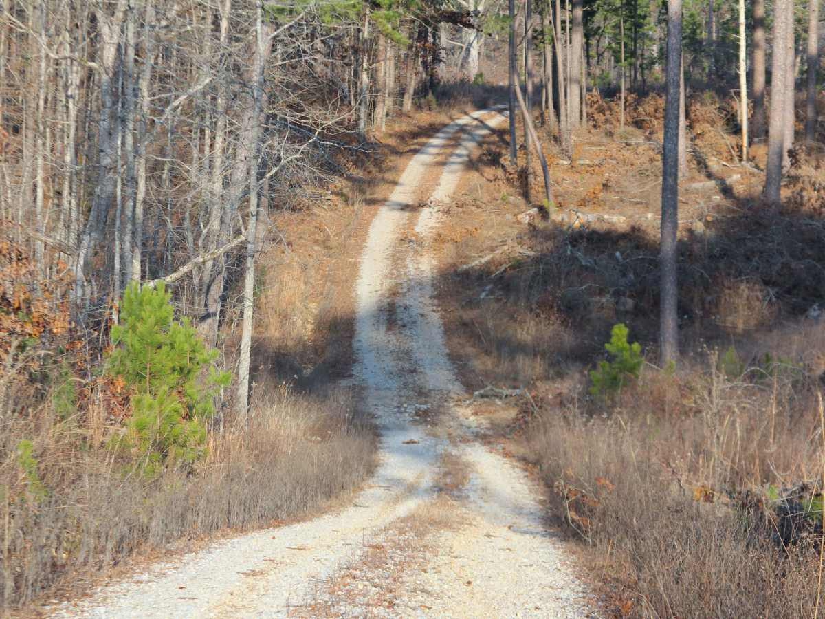 Greasy Creek - FS 427 trail photo