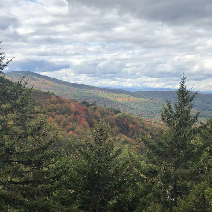 A viewpoint just before descending West Quarry Mountain. Near Dave Roberts Quarry Trail