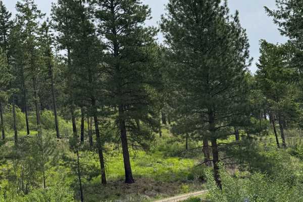 Washington Butte Trail