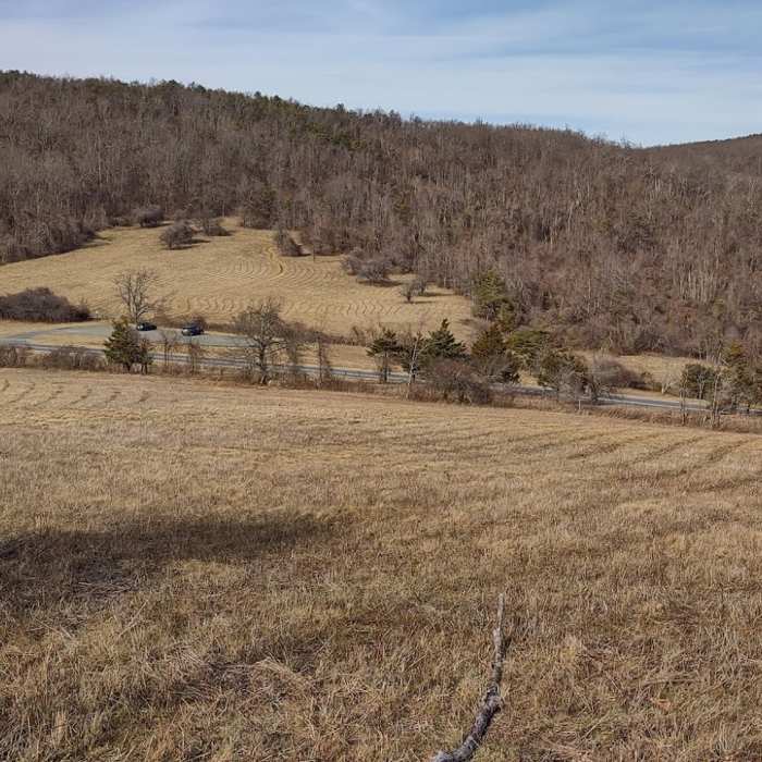 Beagle Gap Near Bear Den Mountain Trail