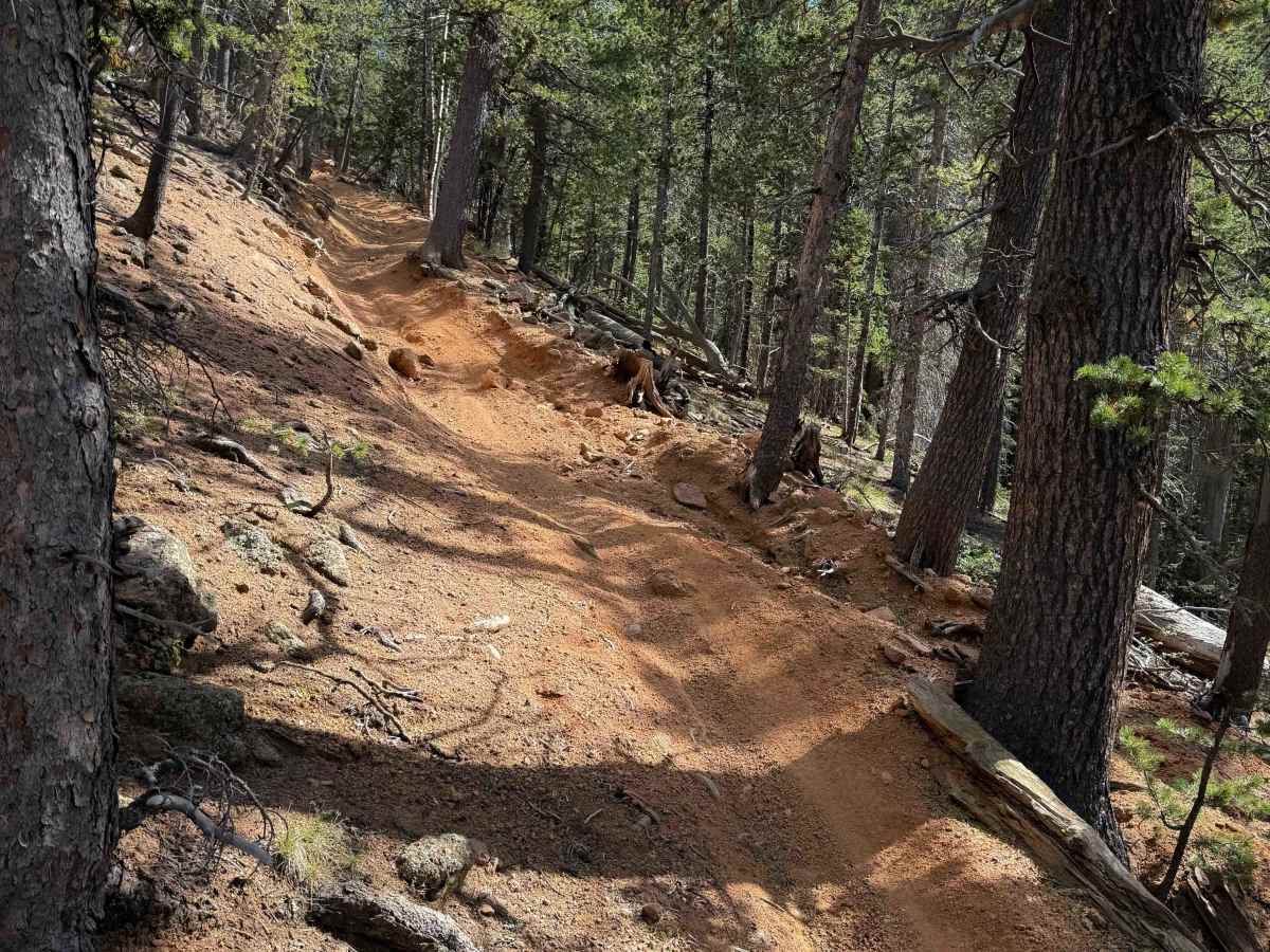Pipeline Trail - FS 668  photo 4